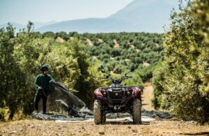 olivar andaluz con kodiak 450
