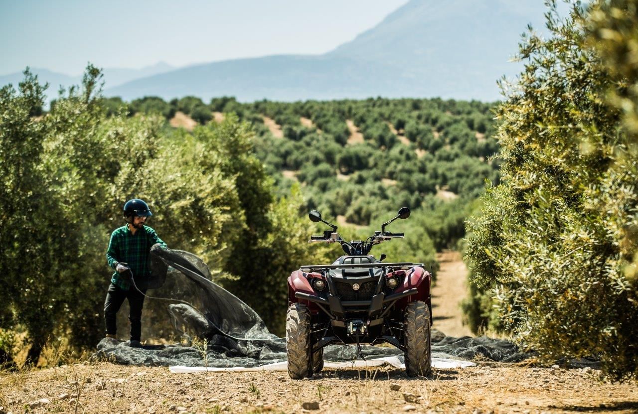 olivar andaluz con kodiak 450