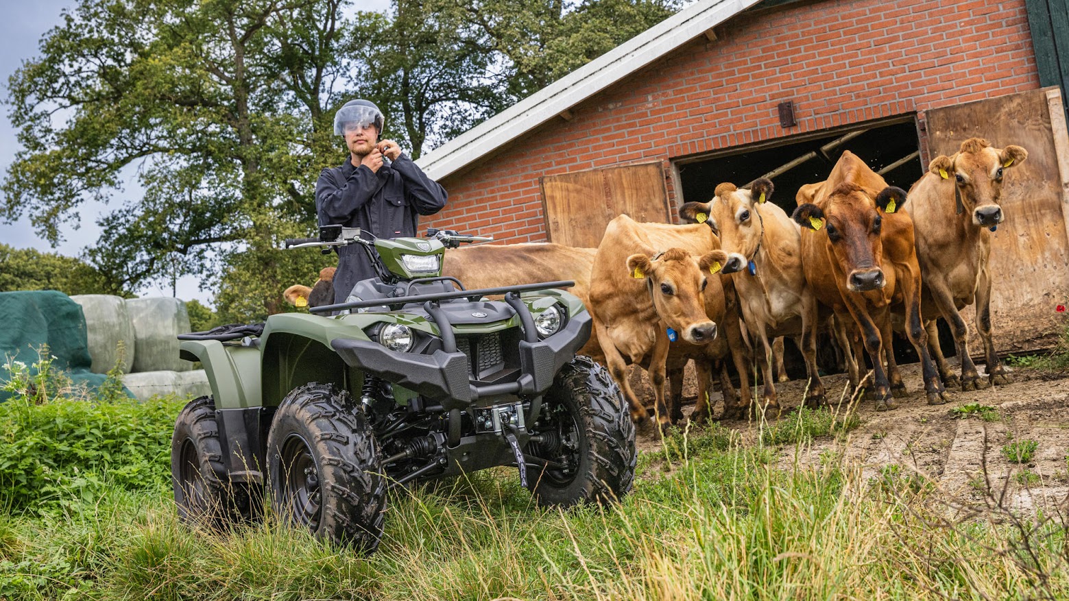 ATV Kodiak 450